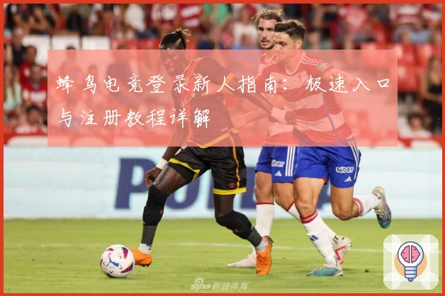 蜂鸟电竞登录新人指南：极速入口与注册教程详解
