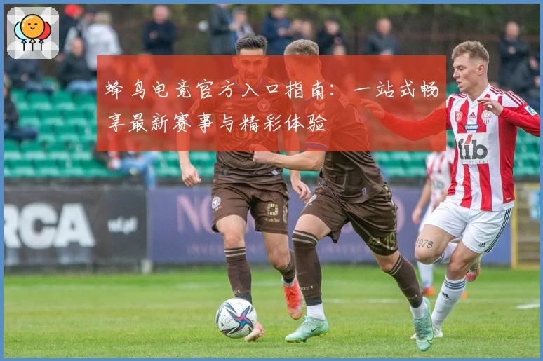 蜂鸟电竞官方入口指南:一站式畅享最新赛事与精彩体验