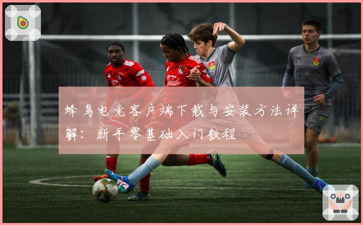 蜂鸟电竞客户端下载与安装方法详解：新手零基础入门教程
