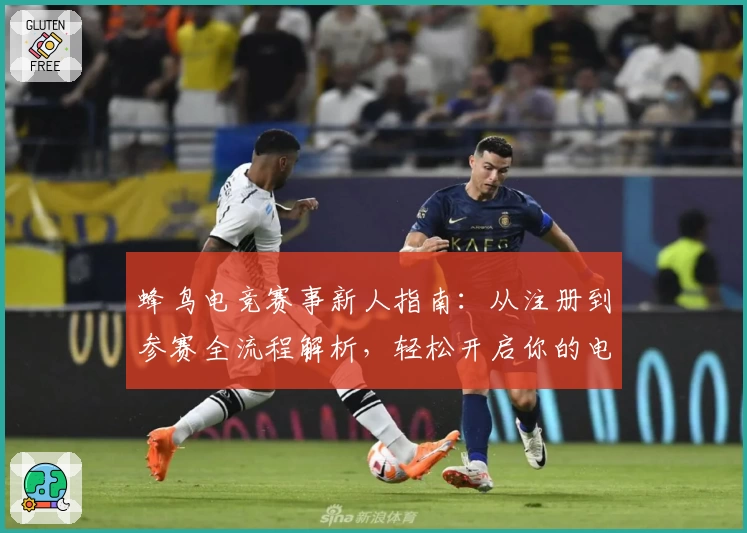 蜂鸟电竞赛事新人指南:从注册到参赛全流程解析,轻松开启你的电竞之旅