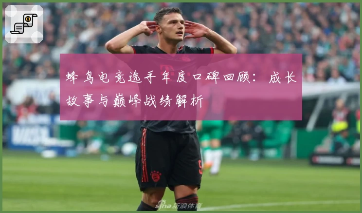蜂鸟电竞选手年度口碑回顾:成长故事与巅峰战绩解析