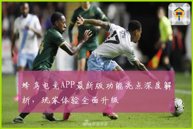 蜂鸟电竞APP最新版功能亮点深度解析,玩家体验全面升级