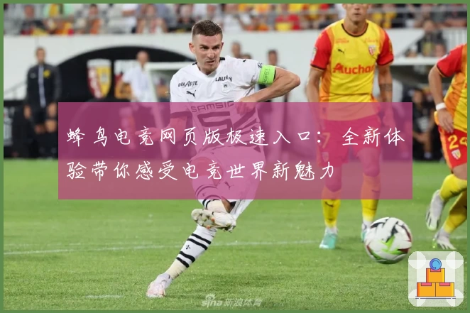 蜂鸟电竞网页版极速入口：全新体验带你感受电竞世界新魅力