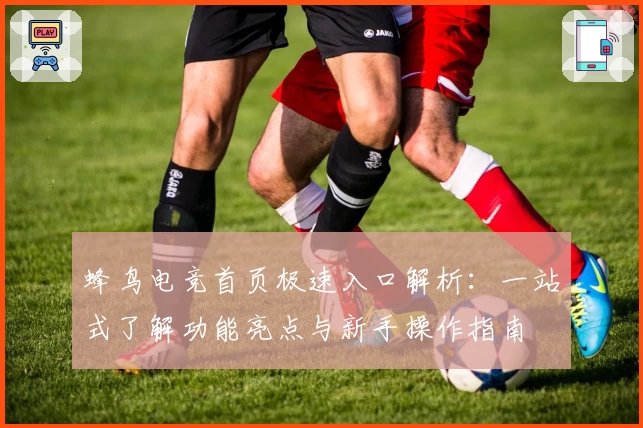 蜂鸟电竞首页极速入口解析：一站式了解功能亮点与新手操作指南