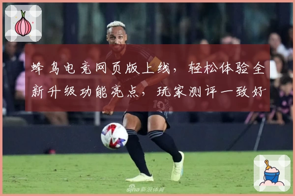 蜂鸟电竞网页版上线，轻松体验全新升级功能亮点，玩家测评一致好评