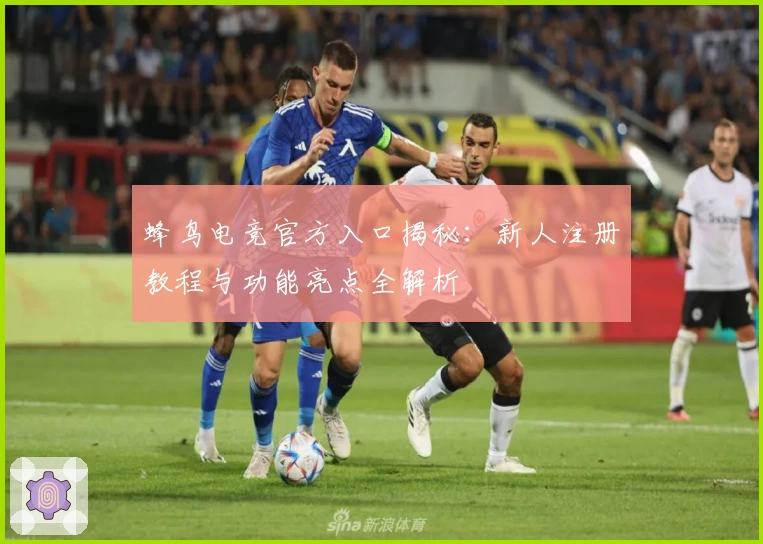 蜂鸟电竞官方入口揭秘：新人注册教程与功能亮点全解析