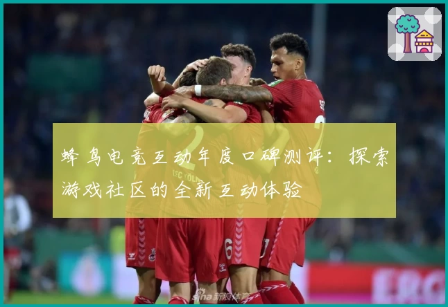 蜂鸟电竞互动年度口碑测评：探索游戏社区的全新互动体验