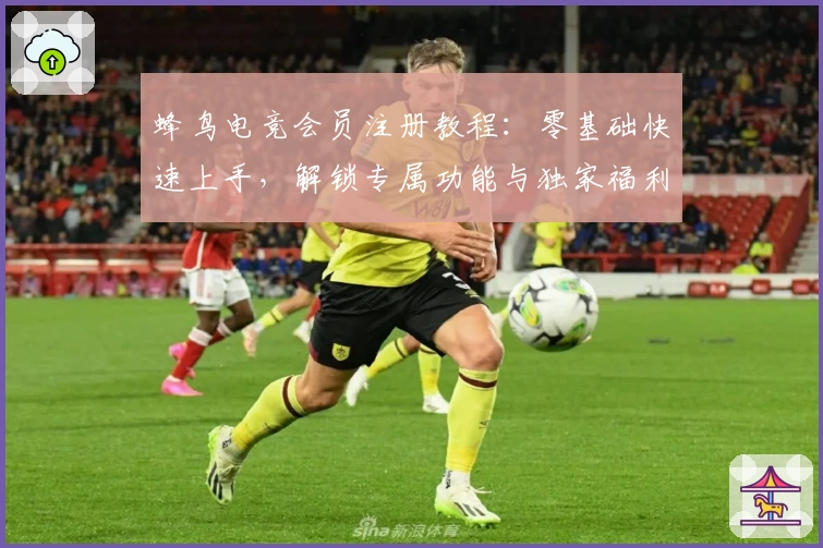 蜂鸟电竞会员注册教程:零基础快速上手,解锁专属功能与独家福利