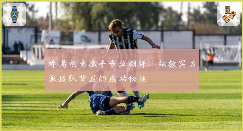 蜂鸟电竞选手专业测评:细数实力派战队背后的成功秘诀