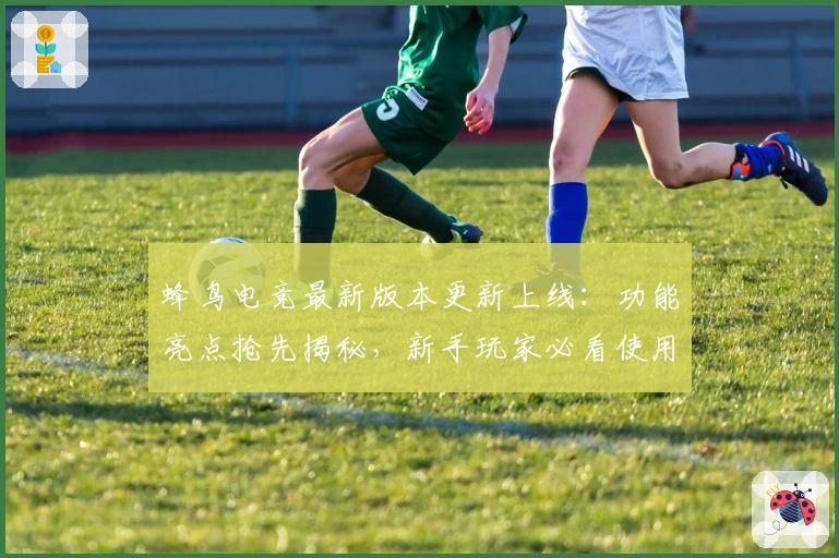 蜂鸟电竞最新版本更新上线：功能亮点抢先揭秘，新手玩家必看使用教程