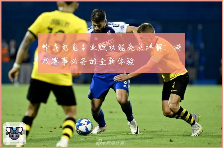 蜂鸟电竞专业版功能亮点详解：游戏赛事必备的全新体验