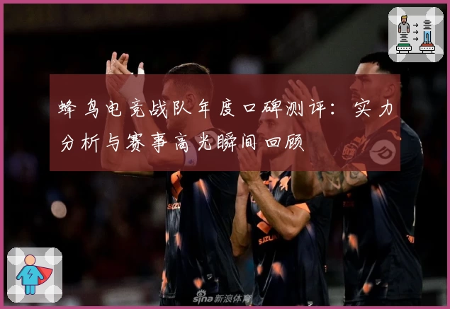 蜂鸟电竞战队年度口碑测评：实力分析与赛事高光瞬间回顾