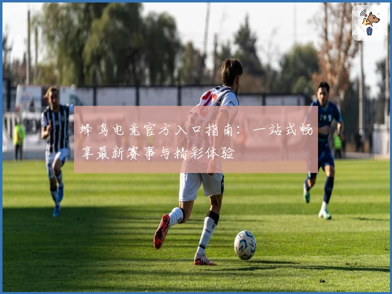 蜂鸟电竞官方入口指南:一站式畅享最新赛事与精彩体验