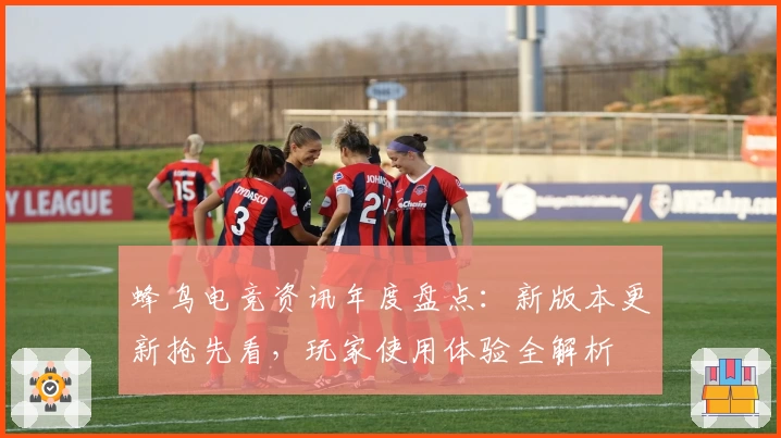 蜂鸟电竞资讯年度盘点：新版本更新抢先看，玩家使用体验全解析