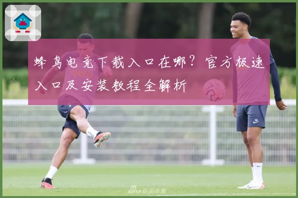 蜂鸟电竞下载入口在哪？官方极速入口及安装教程全解析