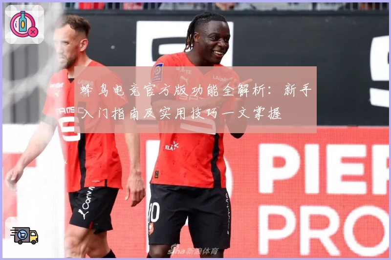 蜂鸟电竞官方版功能全解析：新手入门指南及实用技巧一文掌握