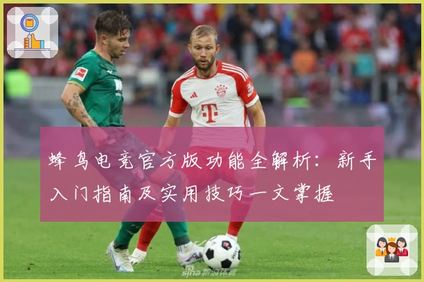 蜂鸟电竞官方版功能全解析：新手入门指南及实用技巧一文掌握