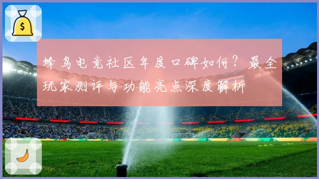 蜂鸟电竞社区年度口碑如何?最全玩家测评与功能亮点深度解析