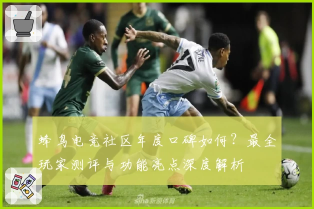 蜂鸟电竞社区年度口碑如何?最全玩家测评与功能亮点深度解析