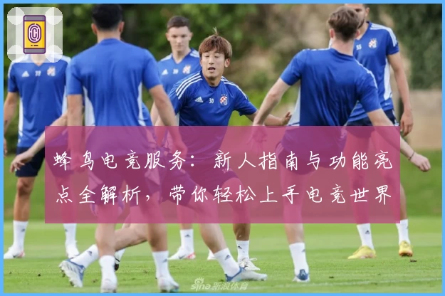蜂鸟电竞服务：新人指南与功能亮点全解析，带你轻松上手电竞世界