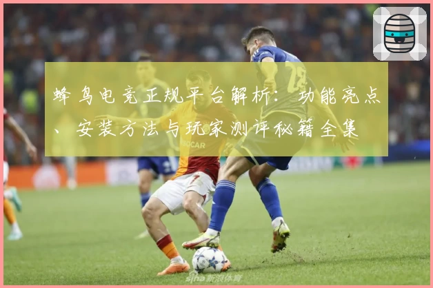 蜂鸟电竞正规平台解析：功能亮点、安装方法与玩家测评秘籍全集