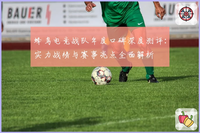 蜂鸟电竞战队年度口碑深度测评：实力战绩与赛事亮点全面解析
