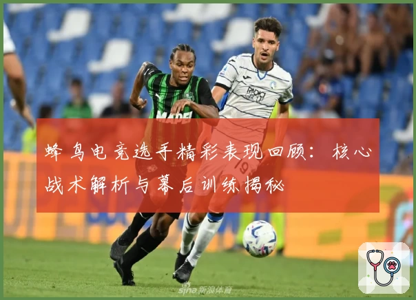 蜂鸟电竞选手精彩表现回顾：核心战术解析与幕后训练揭秘