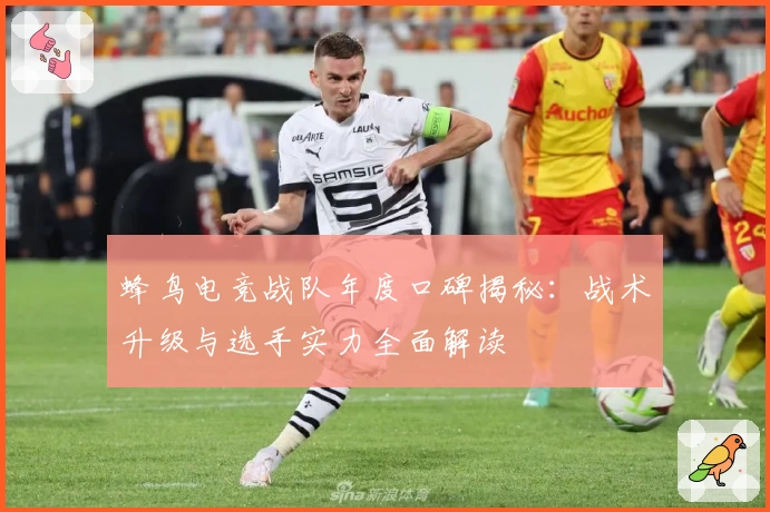 蜂鸟电竞战队年度口碑揭秘:战术升级与选手实力全面解读