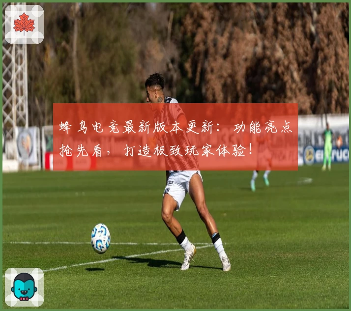 蜂鸟电竞最新版本更新：功能亮点抢先看，打造极致玩家体验！