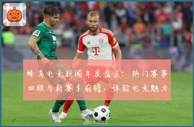 蜂鸟电竞新闻年度盘点：热门赛事回顾与新赛季前瞻，体验电竞魅力新高度