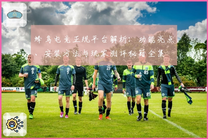 蜂鸟电竞正规平台解析：功能亮点、安装方法与玩家测评秘籍全集
