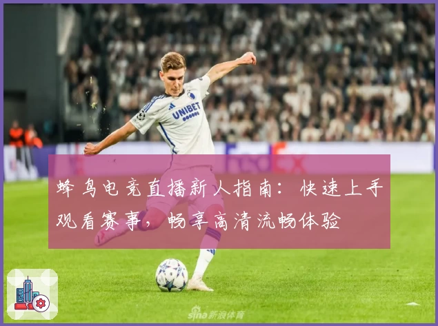 蜂鸟电竞直播新人指南：快速上手观看赛事，畅享高清流畅体验