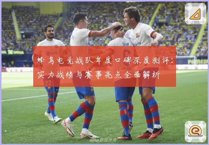 蜂鸟电竞战队年度口碑深度测评：实力战绩与赛事亮点全面解析