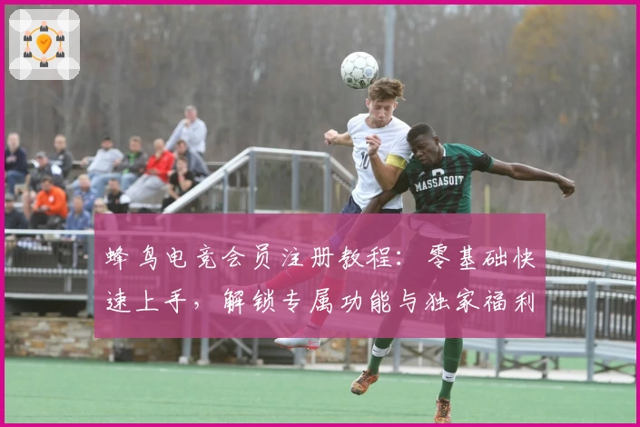 蜂鸟电竞会员注册教程:零基础快速上手,解锁专属功能与独家福利