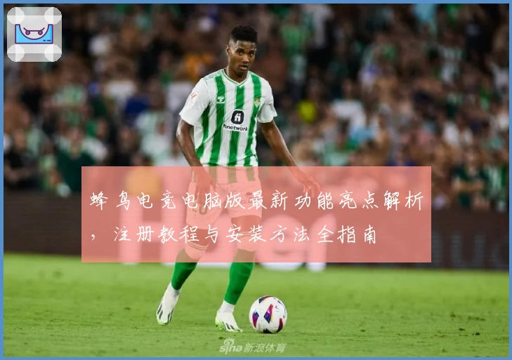蜂鸟电竞电脑版最新功能亮点解析，注册教程与安装方法全指南