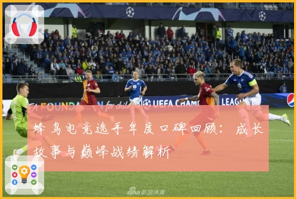 蜂鸟电竞选手年度口碑回顾:成长故事与巅峰战绩解析