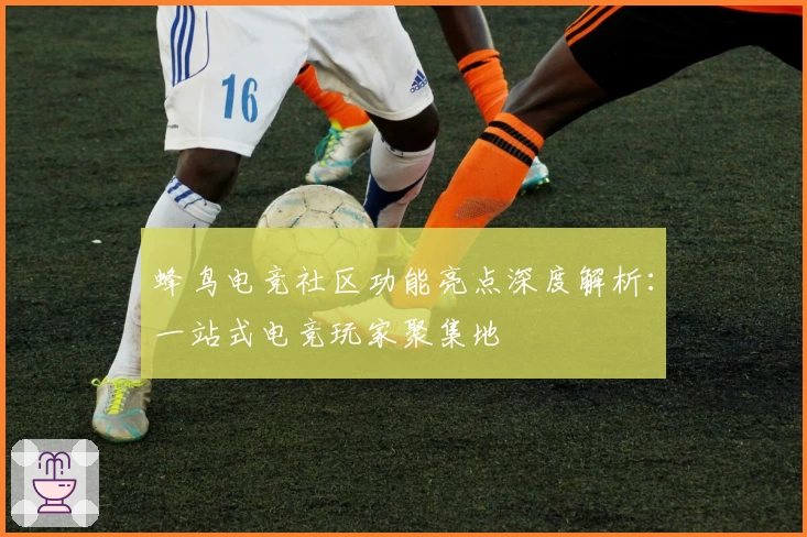 蜂鸟电竞社区功能亮点深度解析：一站式电竞玩家聚集地