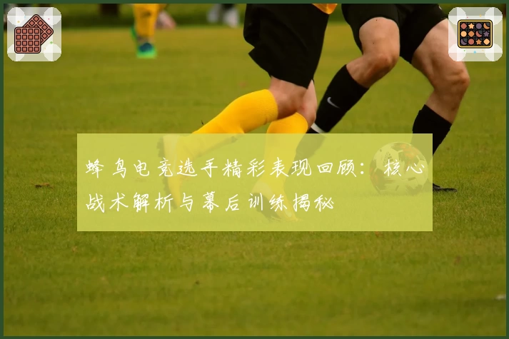 蜂鸟电竞选手精彩表现回顾：核心战术解析与幕后训练揭秘
