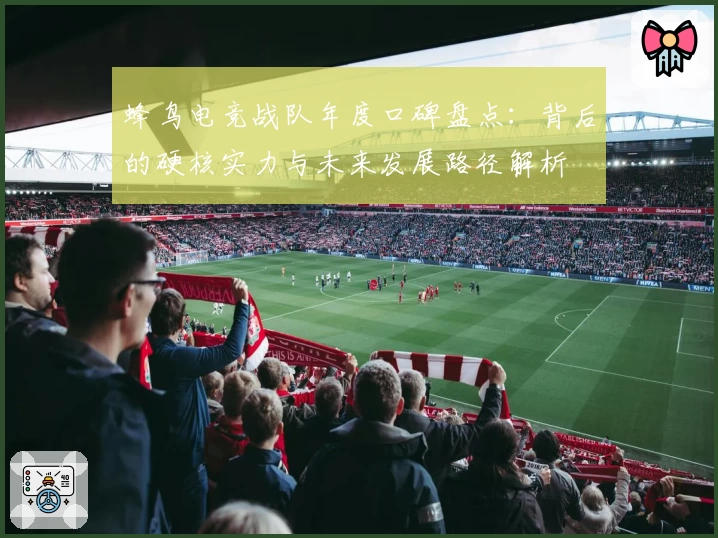 蜂鸟电竞战队年度口碑盘点：背后的硬核实力与未来发展路径解析