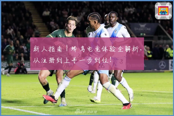 新人指南｜蜂鸟电竞体验全解析，从注册到上手一步到位！