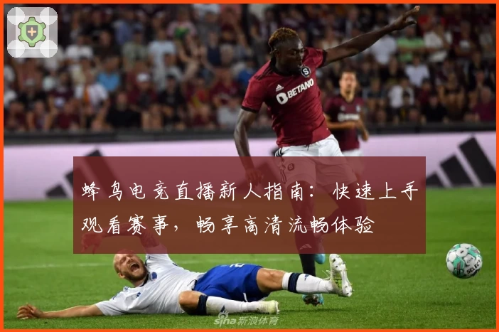 蜂鸟电竞直播新人指南：快速上手观看赛事，畅享高清流畅体验