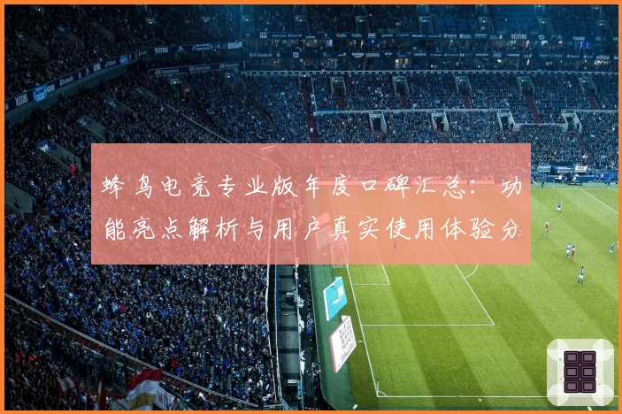 蜂鸟电竞专业版年度口碑汇总：功能亮点解析与用户真实使用体验分享