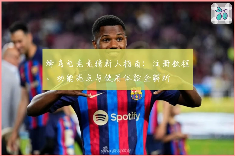 蜂鸟电竞竞猜新人指南:注册教程、功能亮点与使用体验全解析