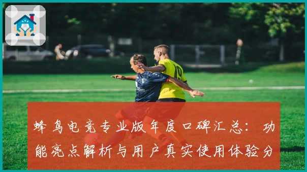 蜂鸟电竞专业版年度口碑汇总：功能亮点解析与用户真实使用体验分享