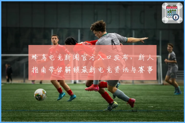 蜂鸟电竞新闻官方入口发布，新人指南带你解锁最新电竞资讯与赛事动态
