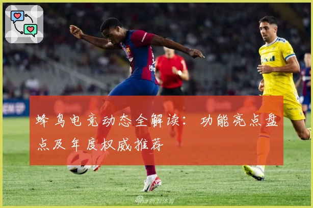 蜂鸟电竞动态全解读：功能亮点盘点及年度权威推荐