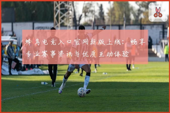 蜂鸟电竞入口官网新版上线：畅享专业赛事资讯与优质互动体验