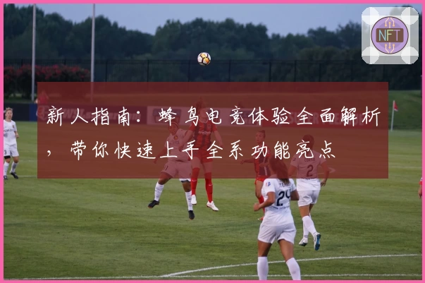 新人指南：蜂鸟电竞体验全面解析，带你快速上手全系功能亮点